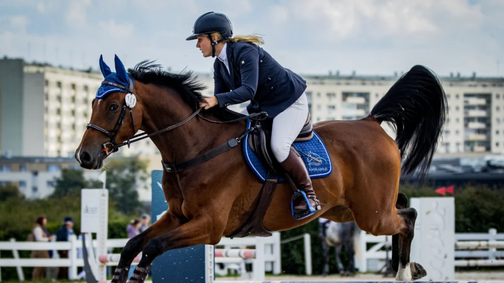 Horse Riding Breeches Fabric Guide