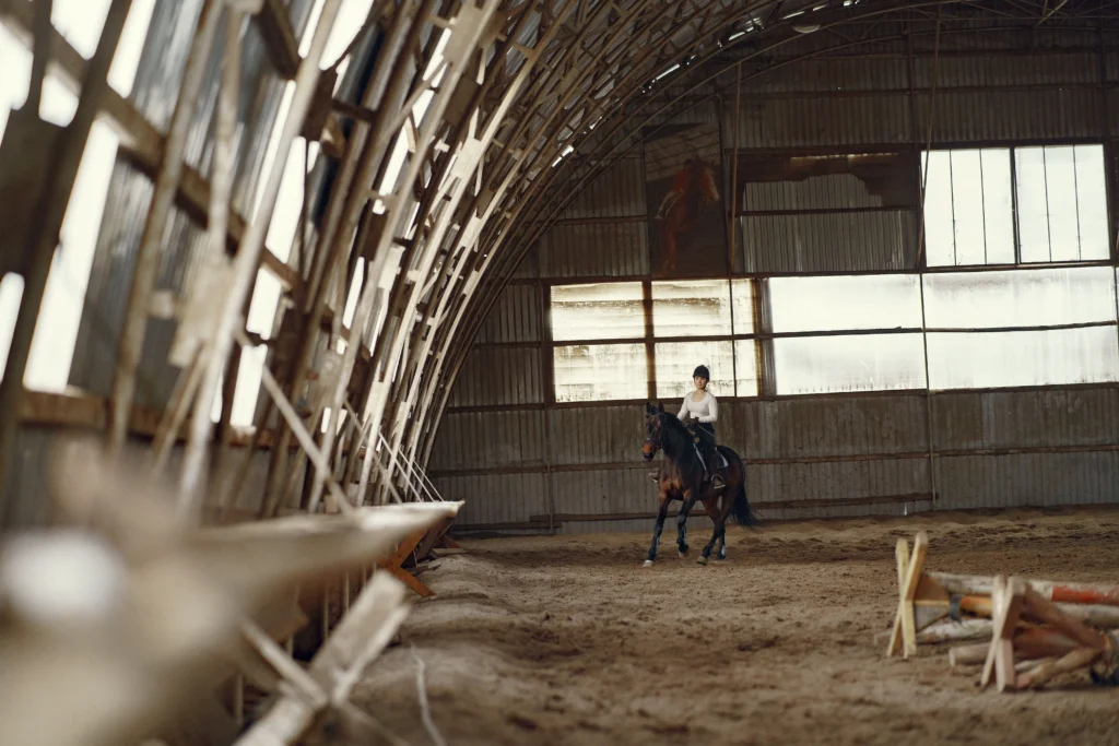 Custom Equestrian Gear MOQ Guide for Wholesale Buyers