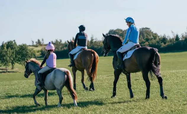 Equestrian Apparel Manufacturing and Design Guide