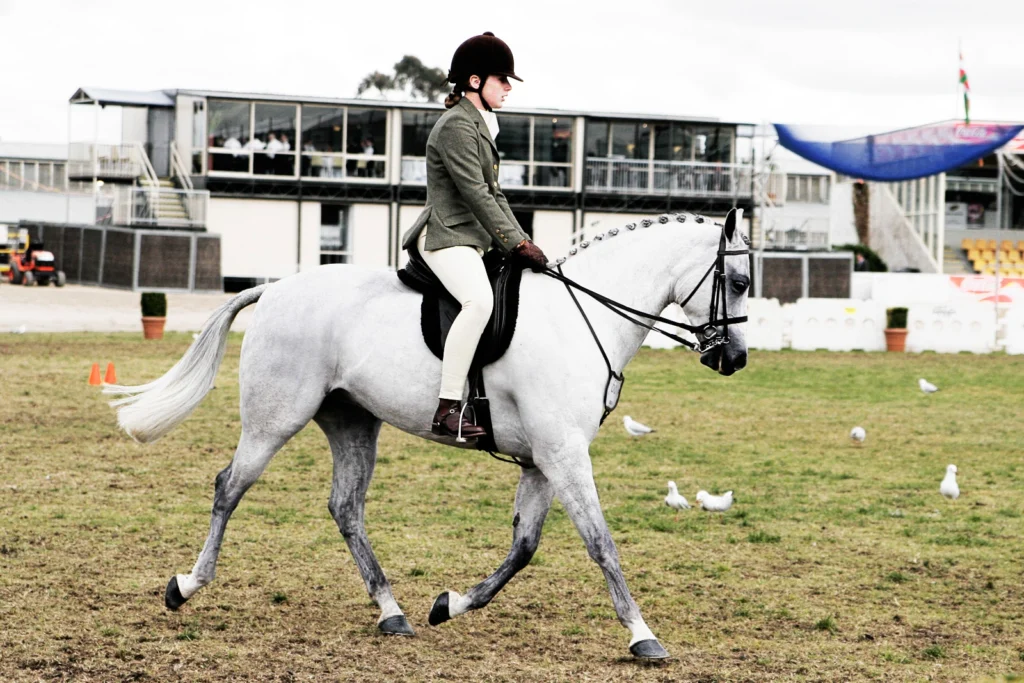 Horse Riding Breeches Design Guide for Equestrian Brands