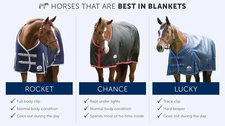 This Horse Rug and Blanket Guide explains shell materials, denier, linings, fill weight, seasonal use, fit, closures and private-label development.
