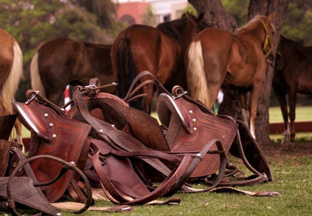 Horse tack manufacturing showing saddle materials and construction details