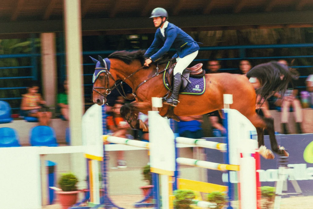 How to Start a Private Label Equestrian Brand