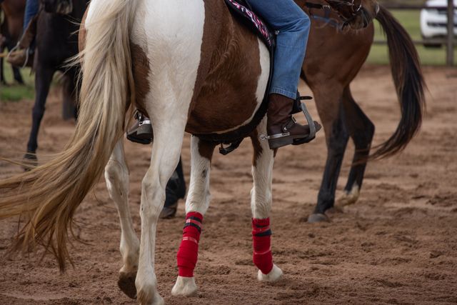 Horse Boots and Wraps Guide: Materials, Protection and Comfort 1 Horse boots and wraps showing protective materials and leg coverage