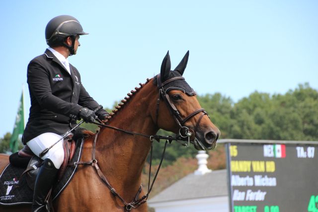 Horse ear bonnet materials with a breathable body and stretch ear panels