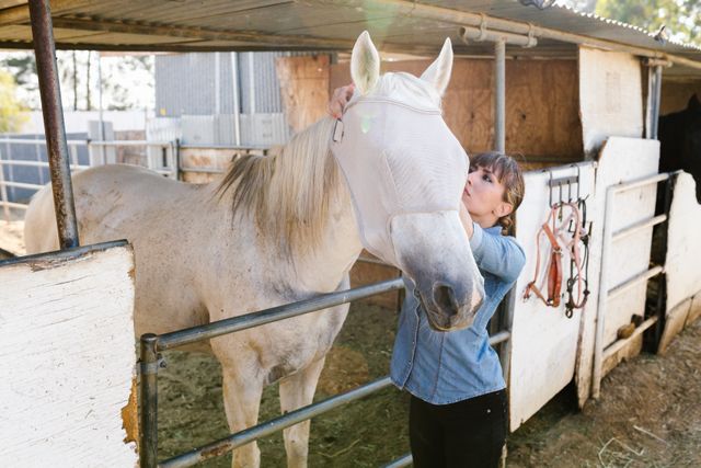 horse fly masks 3