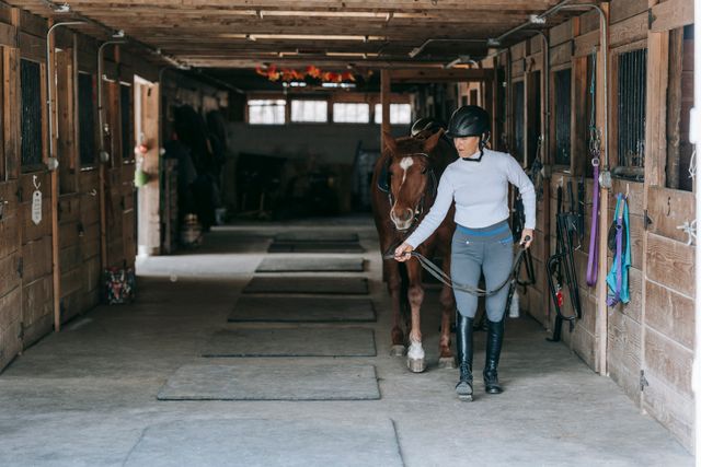 Equestrian collection development featuring horse riding apparel