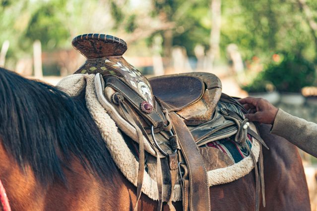 Horse Girth Guide: Shapes, Materials, Padding and Fit 4 horse girth 1