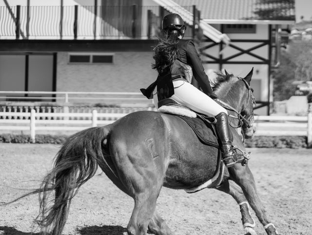 Horse Girth Guide: Shapes, Materials, Padding and Fit 1 Horse girth and saddle equipment fitted to a brown horse