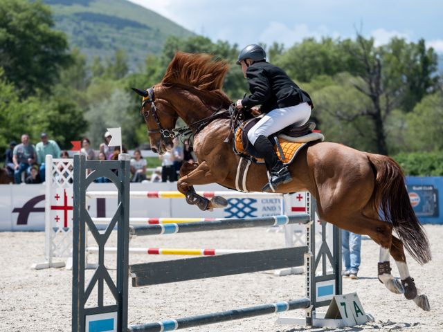 Horse Girth Guide: Shapes, Materials, Padding and Fit 3 Close view of equestrian saddle equipment on a horse, accompanying a guide to girth materials, construction, sizing and fit.